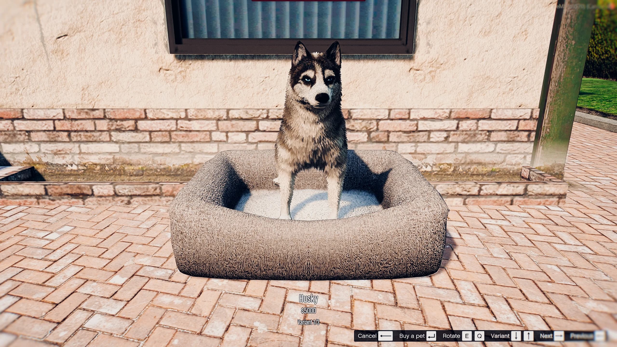 FiveM Housing pets system with dogs inside player houses ESX QBCore realistic home companions