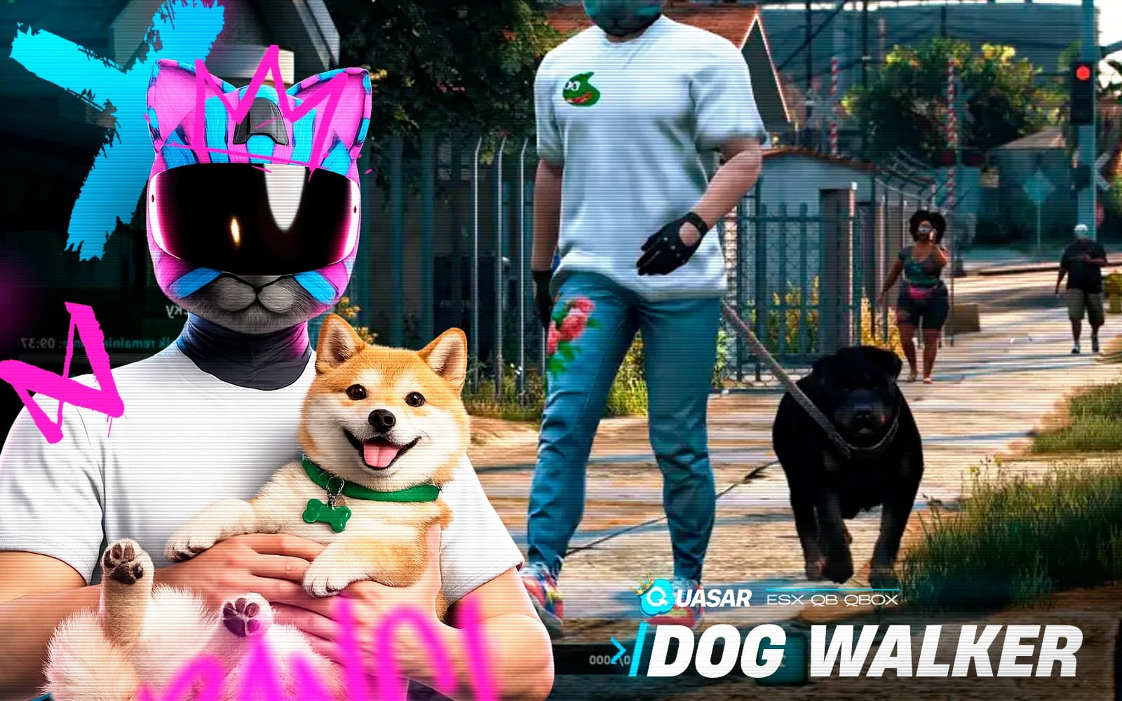Dog Walker Job